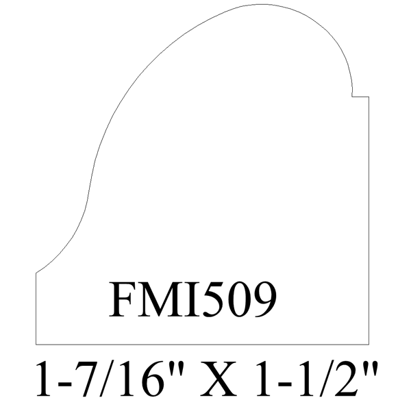 FMI509